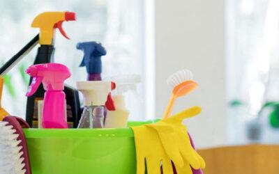 IFFD Paper 77. Empleo doméstico, ¿una demanda aún sin cubrir?