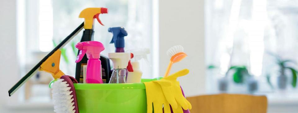 IFFD Paper 77. Empleo doméstico, ¿una demanda aún sin cubrir?