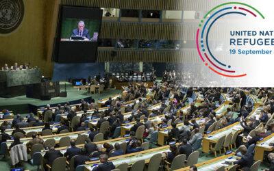 IFFD en la Asamblea General de la ONU