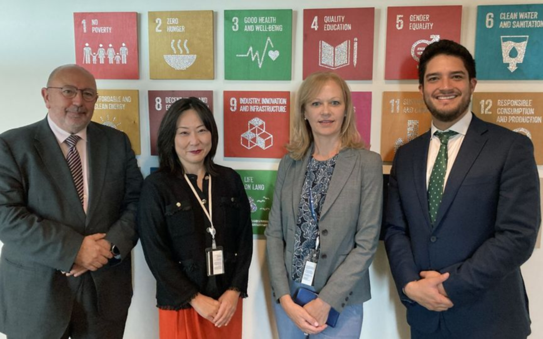 New Director of International Relations at IFFD